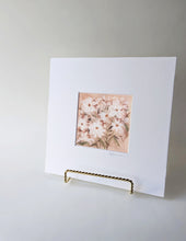 Load image into Gallery viewer, Daisy 02