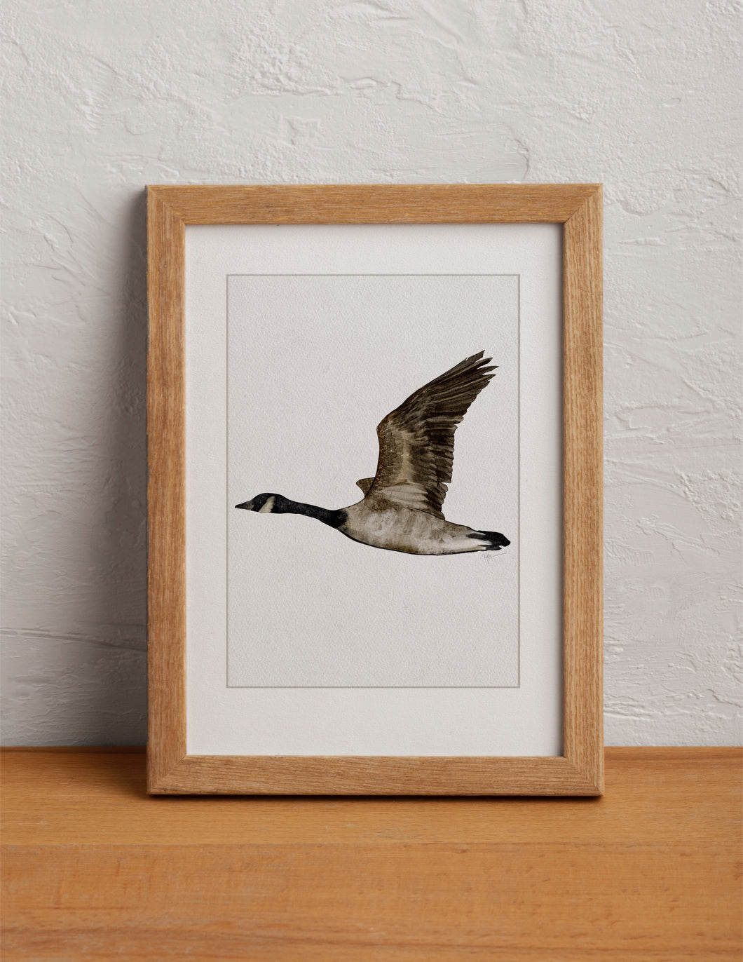Canada Goose