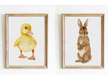 Load image into Gallery viewer, Duckling

