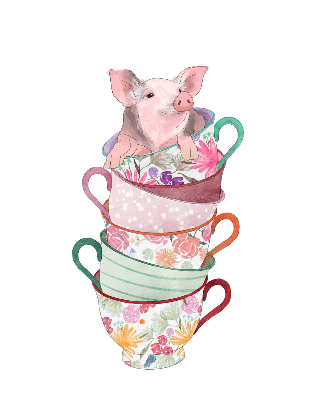 Teacup Piglet