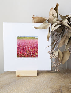 Pink Fields