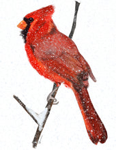 Load image into Gallery viewer, Snowy Cardinal
