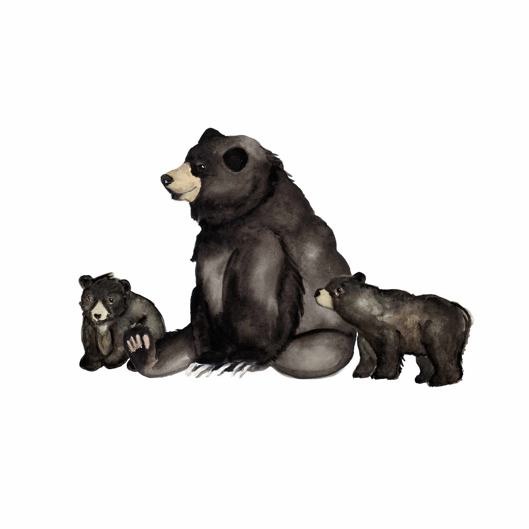 Mama & Baby Black Bears