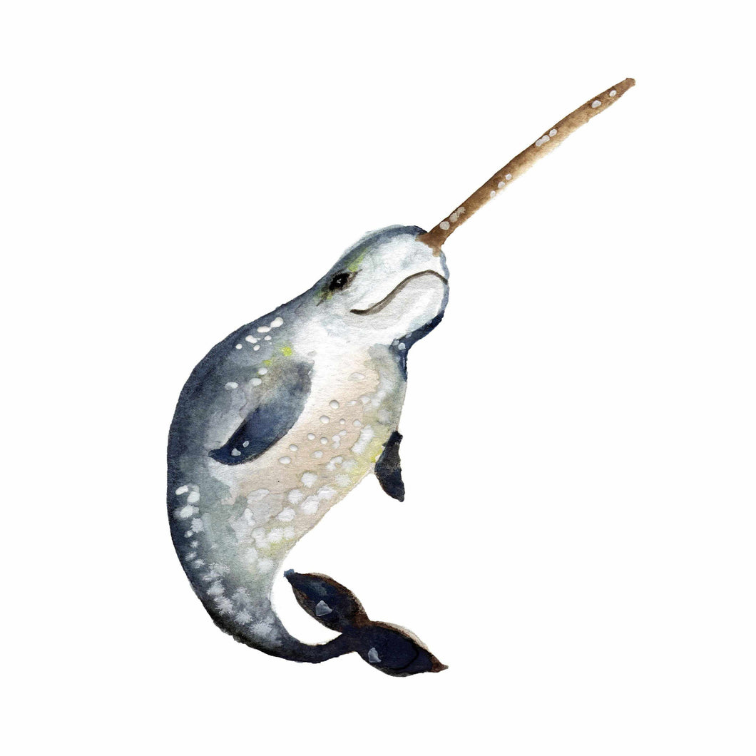 Narwhal