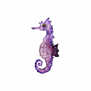 Purple Seahorse