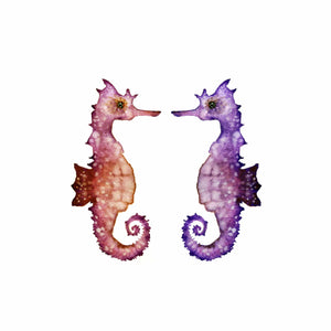 Seahorse Duo