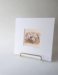 Daisy 03